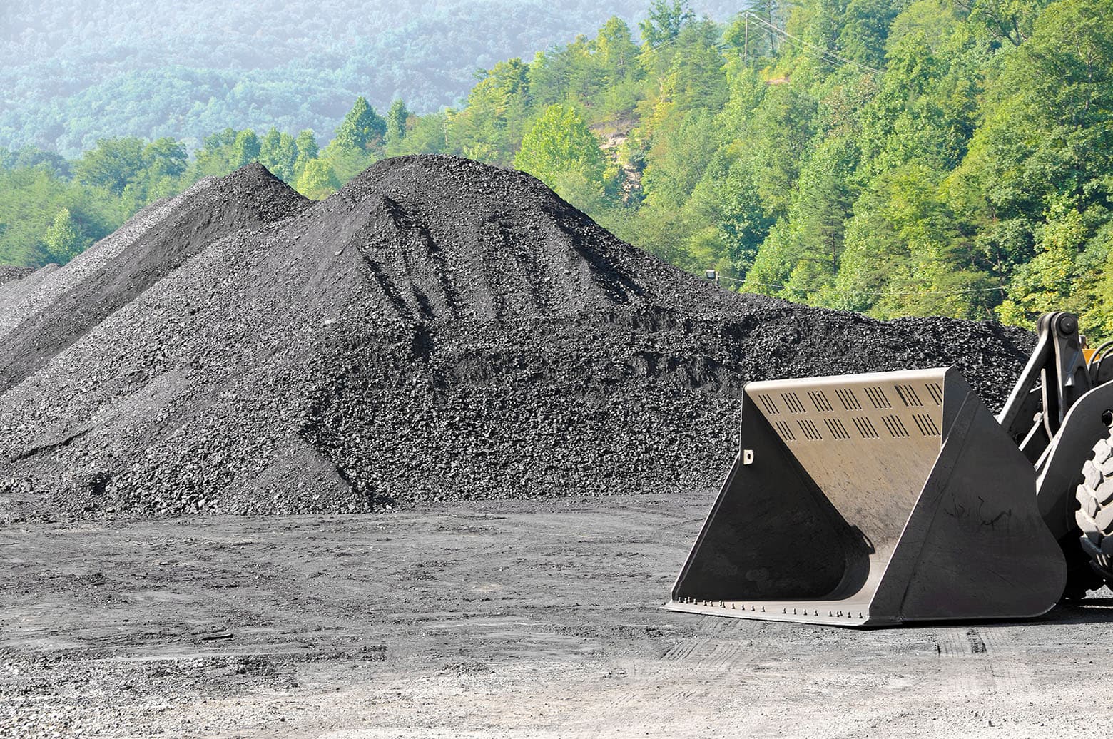 Nipindo Primatama Assets