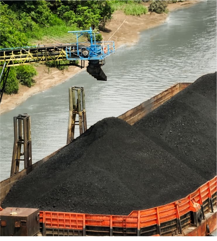 Nipindo Primatama Assets