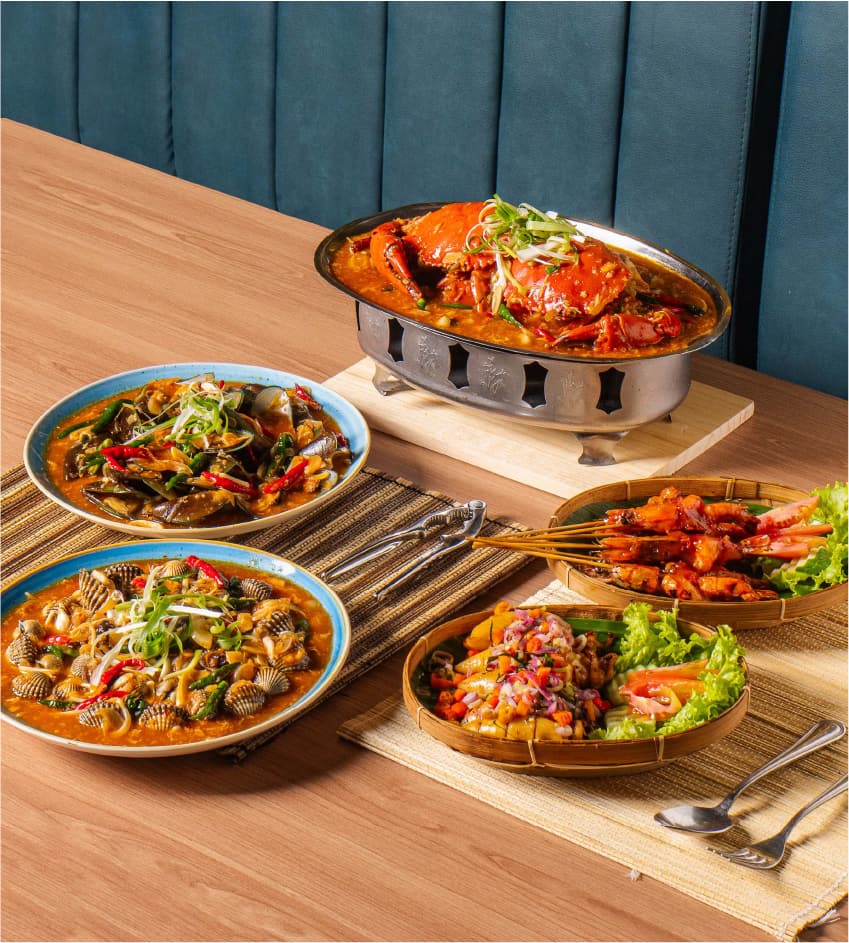 Nipindo Primatama Assets