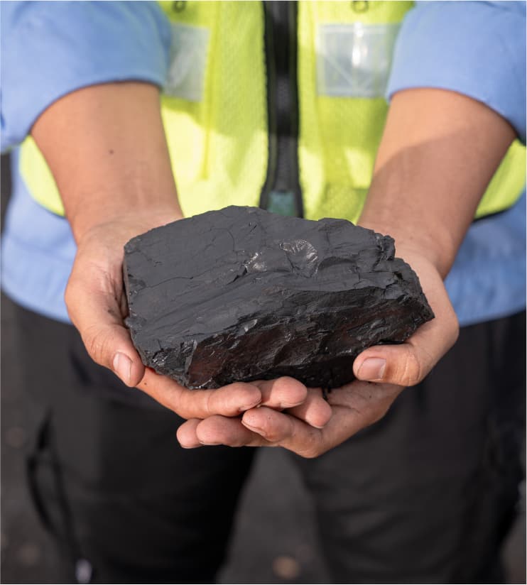 Nipindo Primatama Assets