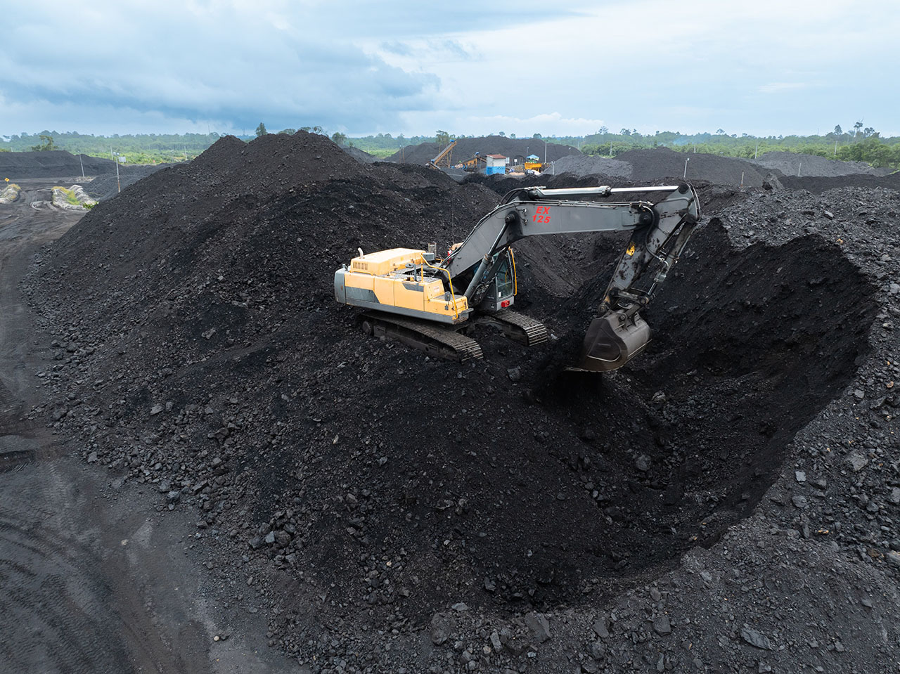 Nipindo Primatama Assets