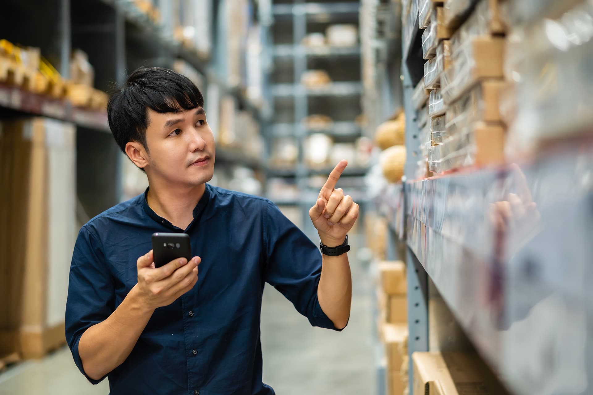 Nipindo Primatama Assets