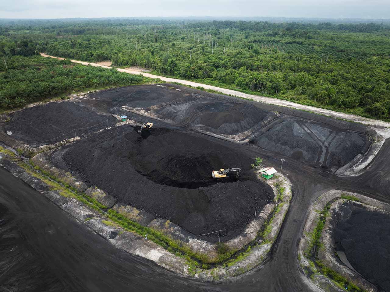 Nipindo Primatama Assets